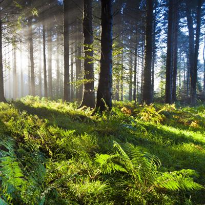 牛牛游戏网app下载